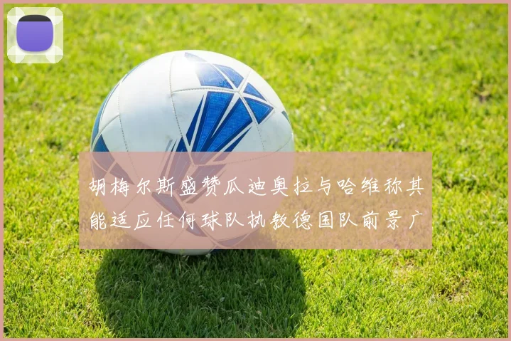 胡梅尔斯盛赞瓜迪奥拉与哈维称其能适应任何球队执教德国队前景广阔