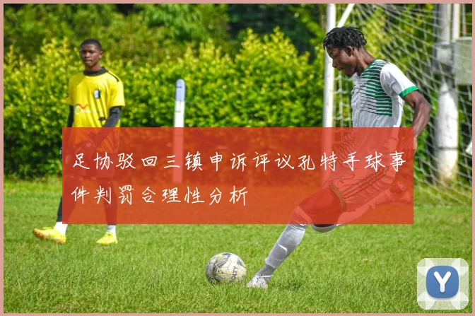 足协驳回三镇申诉评议孔特手球事件判罚合理性分析